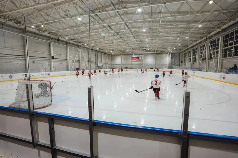 Почти 80 объектов спорта уже подключены к Единому агрегатору физкультурно-спортивных организаций Нижегородской области